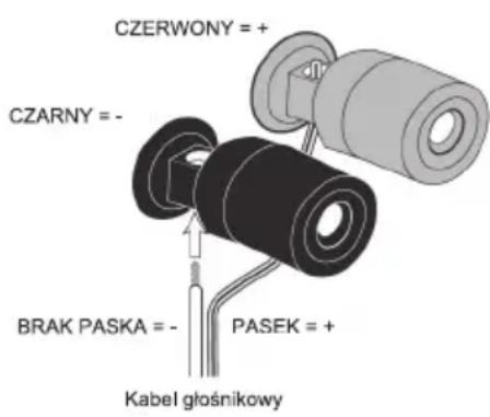 CZERWONY = + CZARNY = - BRAK PASKA = - PASEK = + Kabel głośnikowy