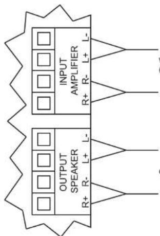 INPUT AMPLIFIER R+ R- L+ L- OUTPUT SPEAKER R+ R- L+ L-