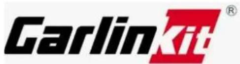 Carlink®