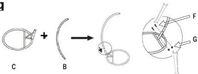 C + B → F G