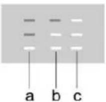 - - - - - a b c