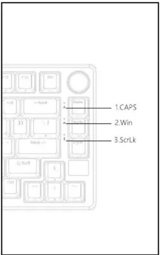 1.CAPS 2.Win 3.ScrLk