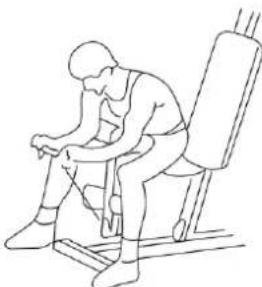 EB Fit 8500 - ćwiczenie mięśni rąk - 1