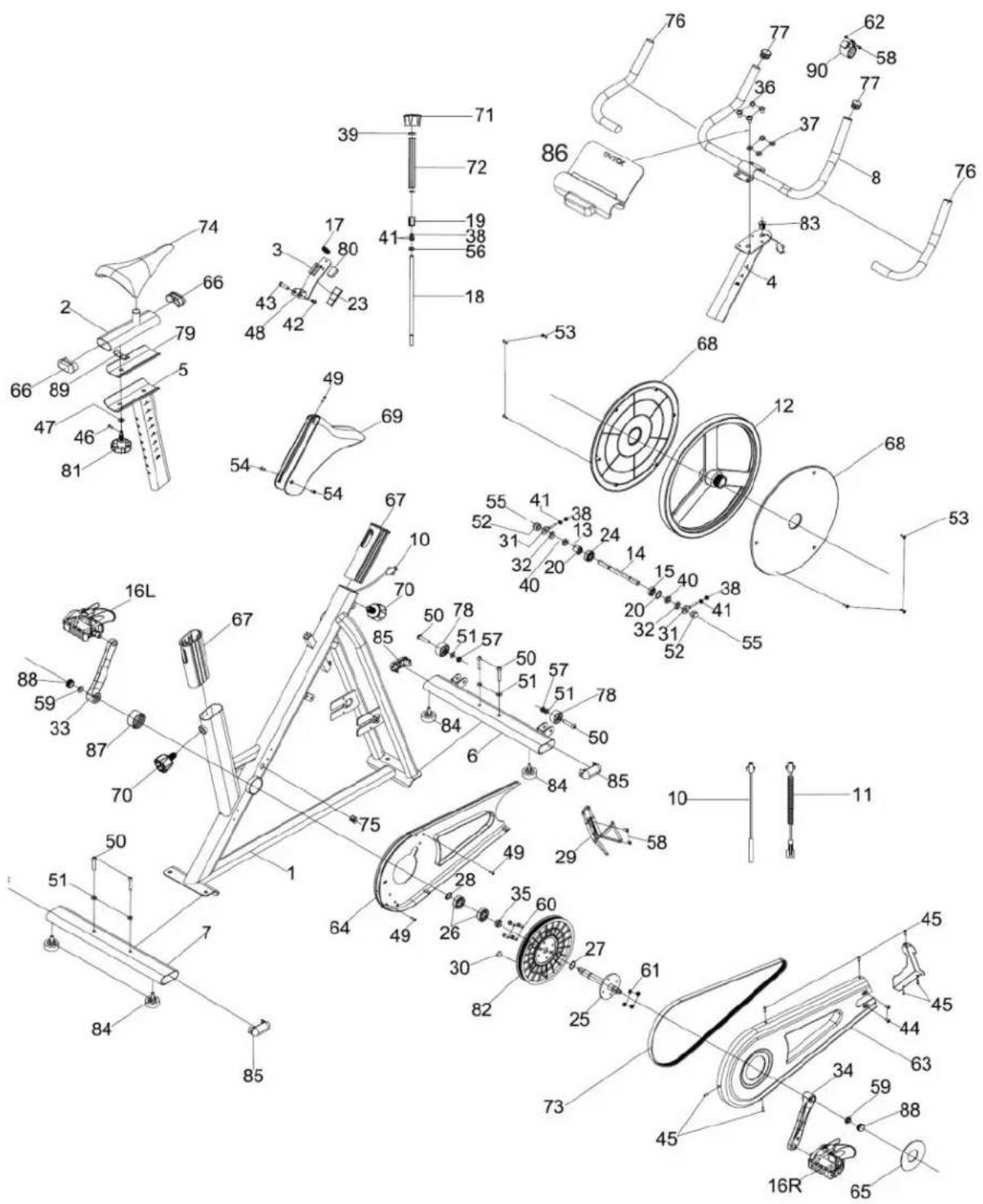 OVICX Q100B - 3.AnatomiaroweruQ100B. - 1