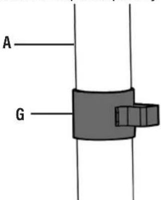 A G