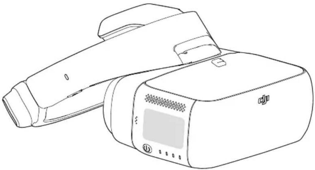 DJI FPV Goggles - 1