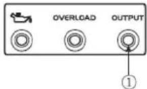 OVERLOAD OUTPUT ①