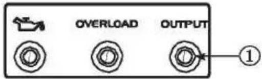 OVERLOAD OUTPUT ①
