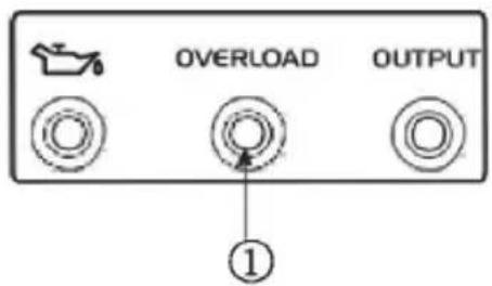 OVERLOAD OUTPUT ①