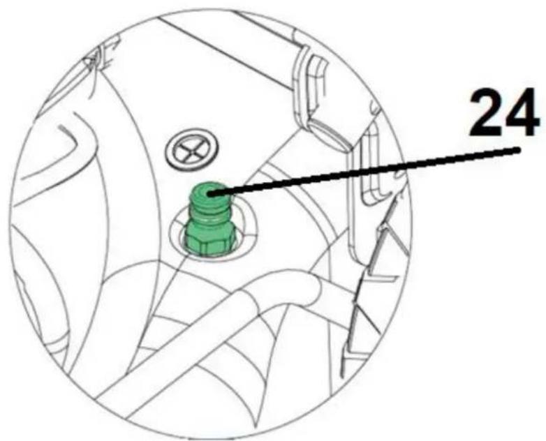 24