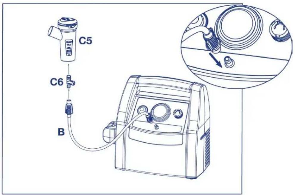 C5 C6 B