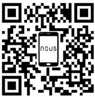 nous