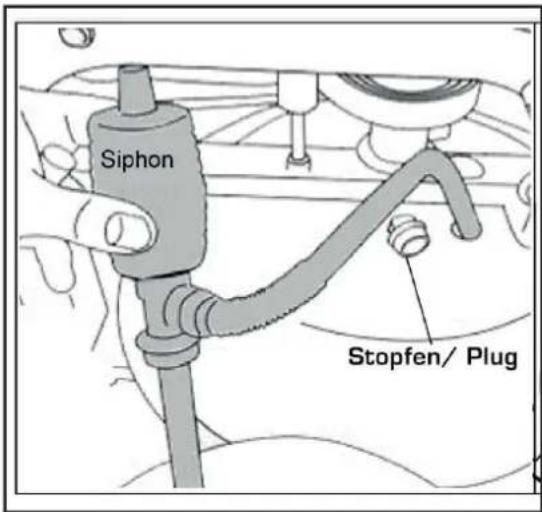 Siphon Stopfen/ Plug