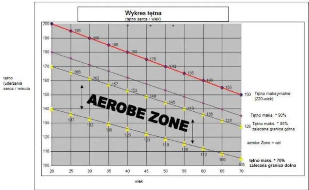Finnlo Endurance V-TFT - Zmiany metabolizmu w czasie treningu: - 1