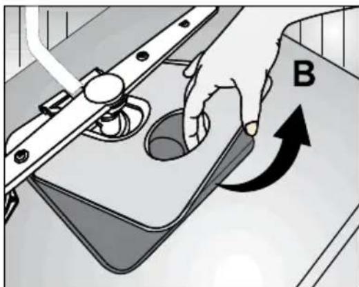 B