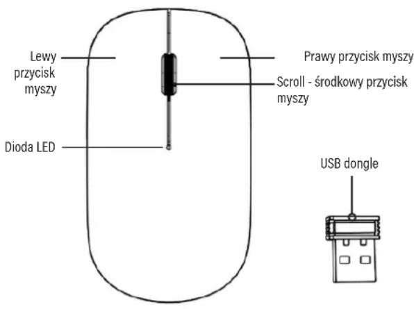 Lewy przycisk myszy Prawy przycisk myszy Scroll - środkowy przycisk myszy Dioda LED USB dongle