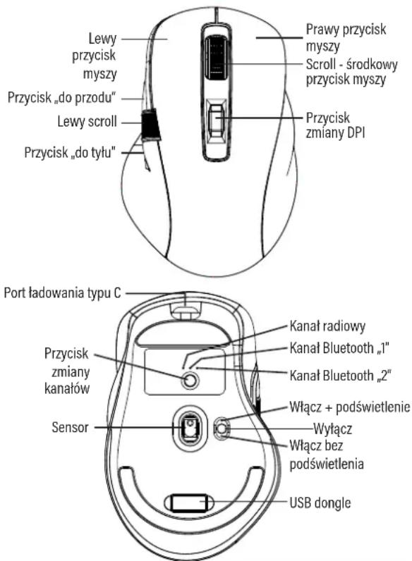 Lewy przycisk myszy Przycisk „do przodu“ Lewy scroll Przycisk „do tyłu“ Prawy przycisk myszy Scroll - środkowy przycisk myszy Przycisk zmiany DPI Port ładowania typu C Przycisk zmiany kanałów Sensor Kanał radiowy Kanał Bluetooth „1“ Kanał Bluetooth „2“ Włącz + podświetlenie Włącz Włącz bez podświetlenia USB dongle