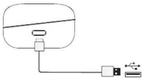 HiFuture Fusion - Ładowanie etui za pomocą kabla USB-C - 1
