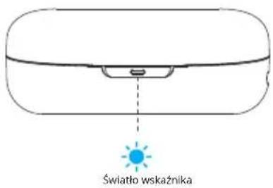 Światło wskaźnika
