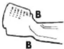 Active 5450 SVH BBC - 10) KONSERWACJA - 2