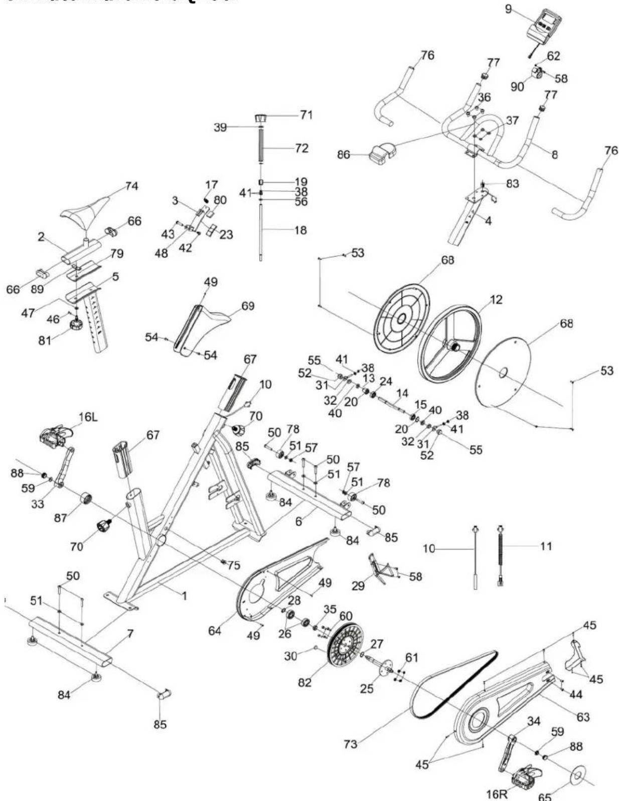 OVICX Q100C - 3.AnatomiaroweruQ100. - 1