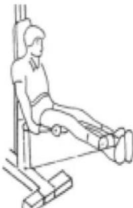 DS Fitness Atlas DS600S - Przykładowe ćwiczenia: - 8
