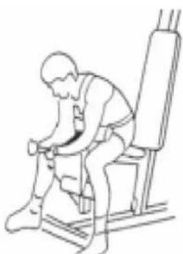 DS Fitness Atlas DS600S - Przykładowe ćwiczenia: - 4