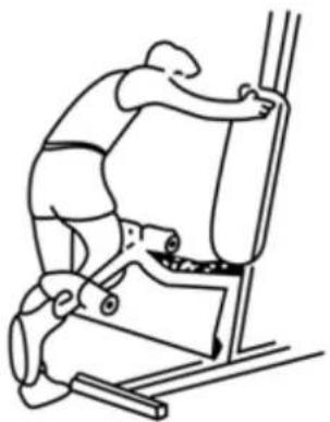 Body Sculpture Multigym Pro BMG 4700 - ĆWICZENIE NADGARSTKÓW - 1