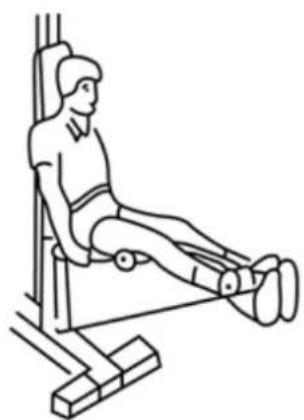 Body Sculpture Multigym Pro BMG 4700 - WYCISKANIE NOŻNE W POZ. SIEDZĄCEJ (Mięśnie czterogłowe) - 1