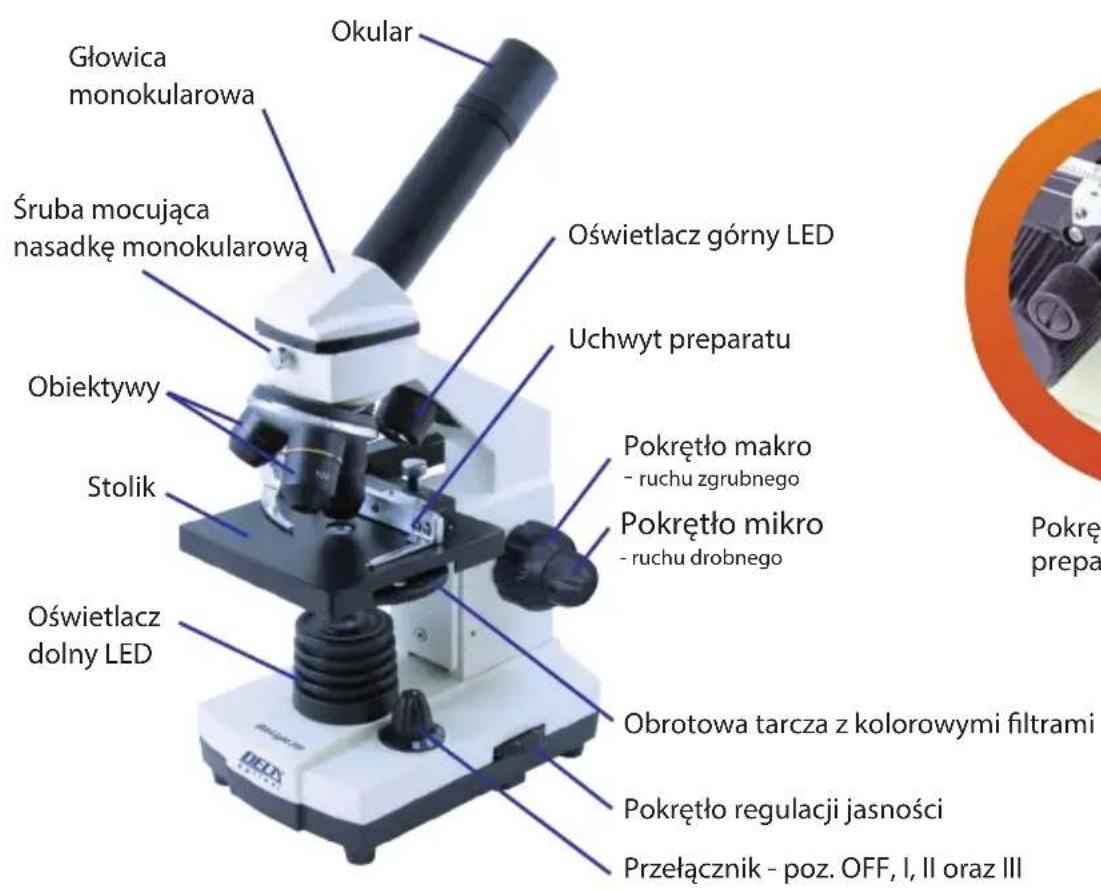 Głowica monokularowa Śruba mocująca nasadkę monokularową Okular Oświetlacz górny LED Uchwyt preparatu Obiektywy Stolik Pokrętło makro - ruchu zgrubnego Pokrętło mikro - ruchu drobnego Oświetlacz dolny LED Obrotowa tarcza z kolorowymi filtrami Pokrętło regulacji jasności Przełącznik - poz. OFF, I, II oraz III