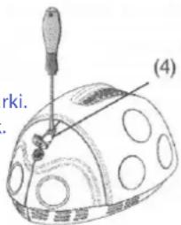 rki. (4)