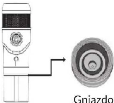 Gniazdo