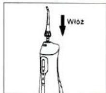 Wloz