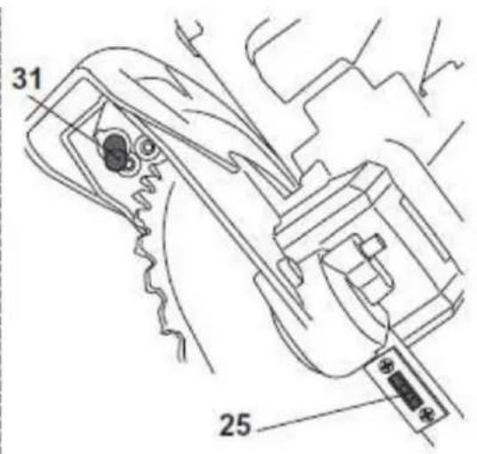 31 25