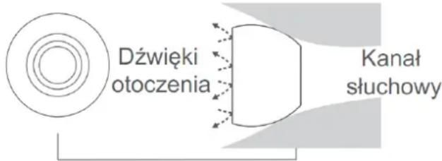 Dźȩcki otoczenia Kanał słuchowy