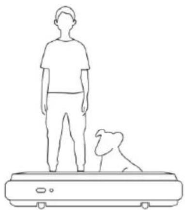 Urevo U1 Smart Walkingpad - Zasady bezpiecznego użytkowania. - 13