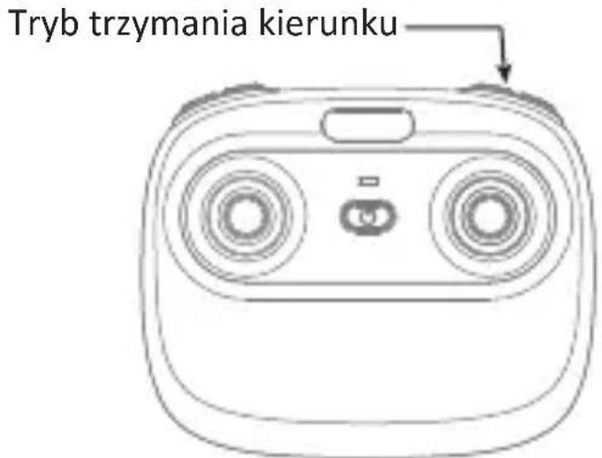 Tryb trzymania kierunku