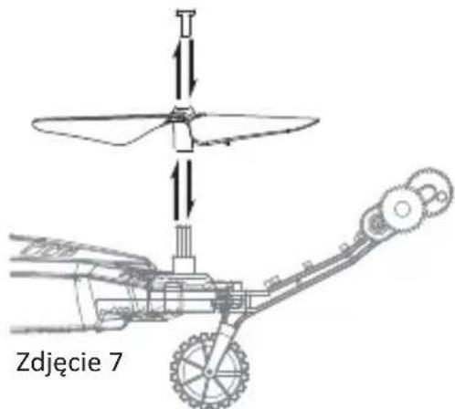 Zdjęcie 7