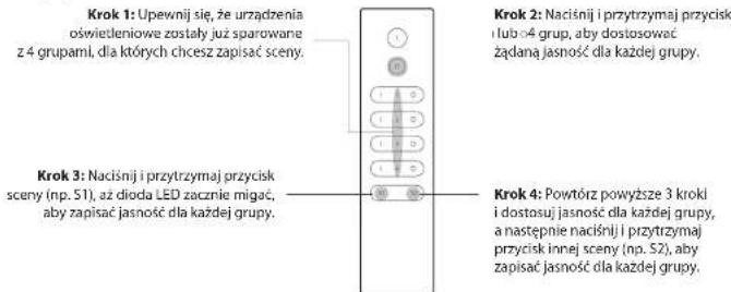 Ferguson FS2RDS - 1) Zapisywanie scen - 1