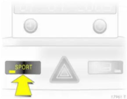 SPORT 17961 T