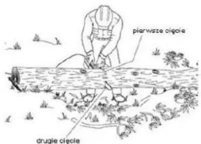 pierwsze ciecle drugle ciecle