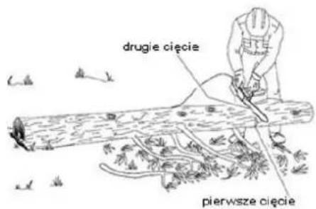 drugie cięcie pierwsze cięcie