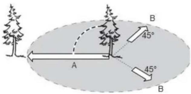 A B 45° 45° B