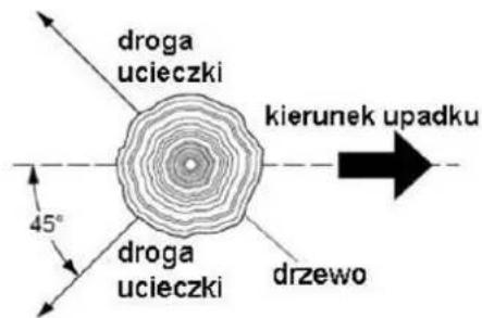 droga ucieczki kierunek upadku 45° droga ucieczki drzewo