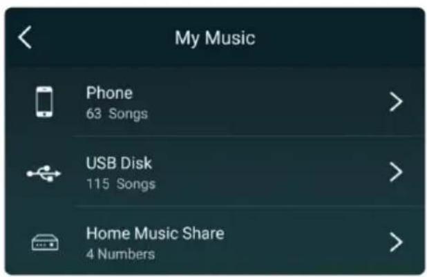 My Music Phone 63 Songs USB Disk 115 Songs Home Music Share 4 Numbers