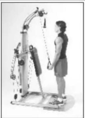 Hammer BioForce Extreme Pro - WYCISKANIE TRICEPSU - 3