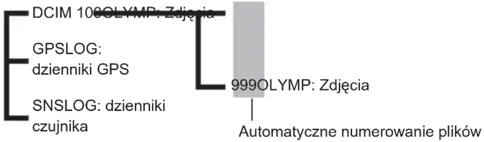 OLYMPUS TG-5 - Foldery przechowywanych plików - 1