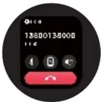 13800138000 IIC