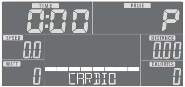 TIME 0:00 PULSE P SPEED 0.0 DISTANCE 0.00 WATT 0 CARBIO CALORIES 0