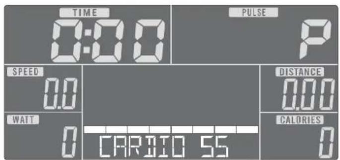 TIME 0:00 PULSE P SPEED 0.0 WATT 0 CARBIO 55 DISTANCE 0.00 CALORIES 0